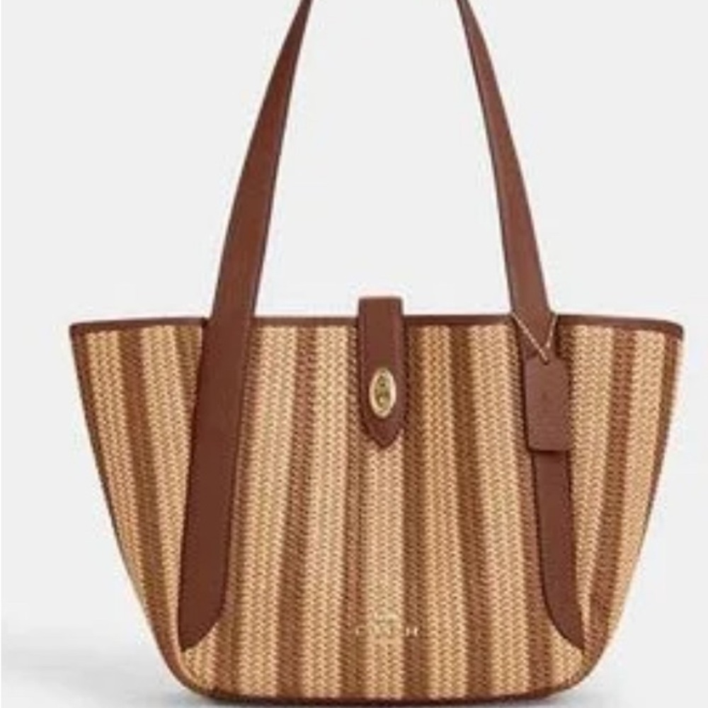 Coach Brown and Tan Striped Tote Bag